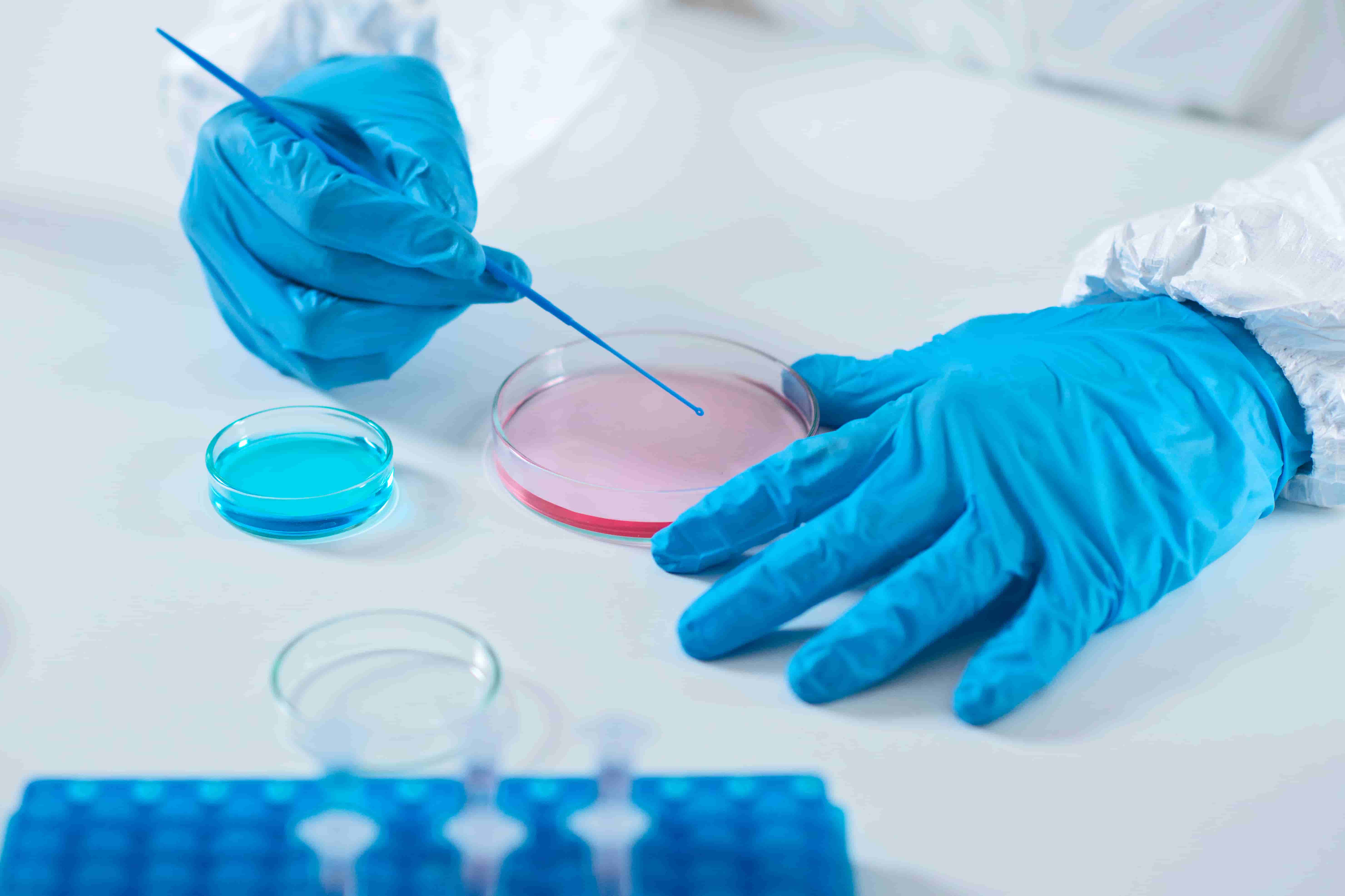 Microbiology Lab
